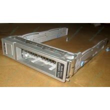 Салазки Sun 350-1386-04 в Пушкино, 330-5120-04 1 для HDD (Пушкино)