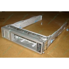 Салазки Sun 350-1386-04 в Пушкино, 330-5120-04 1 для HDD (Пушкино)