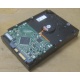 Жесткий диск HP 250Gb 7200 rpm 432337-001/ 399699-001 / 397377-004 (Пушкино)
