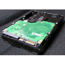 Жесткий диск 600Gb 15k Dell 9FN066-008 6G SAS ( Seagate Cheetach ST3600057SS 15K.7) - Пушкино