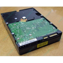 Б/У жёсткий диск 400Gb WD WD4000YR Caviar RE2 7200 rpm SATA  (Пушкино)