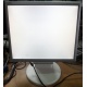 Монитор 17" TFT Nec MultiSync LCD175VXM+ бело-серебристый (Пушкино)