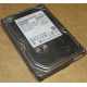 HDD 500Gb Hitachi HDS721050DLE630 донор на запчасти (Пушкино)
