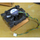 Intel C24751-002 (Пушкино)