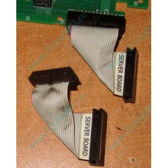 6017B0045701 Шлейф 24 pin для Intel C74974-401 T0043401-B01 корпуса SR2400 (Пушкино)