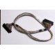 Intel 6017B0045301 в Пушкино, 68 pin SCSI кабель 26.5" / 57см для корзины HDD корпуса SR2400 (Пушкино)