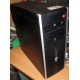 БУ компьютер HP Compaq Elite 8300 (Intel Core i3-3220 (2x3.3GHz HT) /4Gb /250Gb /ATX 320W) - Пушкино