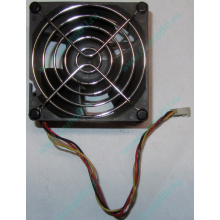 Вентилятор EFB0812HHE IBM 59P23B1 FRU 59P2572 (Пушкино)