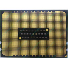 AMD Opteron 6128 OS6128WKT8EGO (Пушкино)
