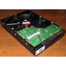 Жесткий диск 500Gb WD WD5000AAKX HP 634605-003 613208-001 7.2k SATA (Пушкино)