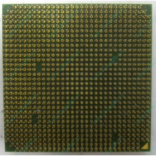 Процессор AMD Sempron 3000+ (1.6GHz) SDA3000IAA3CN s.AM2 (Пушкино)